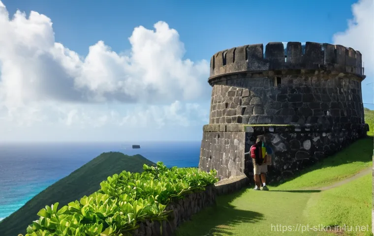 세인트키츠 네비스 항공권 가격 - **Prompt:** "A vibrant, panoramic view of Frigate Bay, Saint Kitts, on a sunny day. The scene featur...
