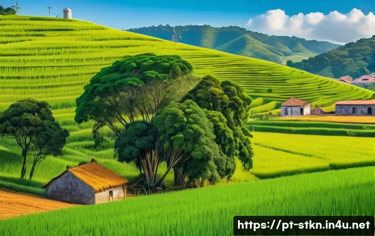 세인트키츠 네비스 사탕수수 산업 - A vibrant rural landscape in São Cristóvão and Neves showcasing traditional sugarcane plantations wi...