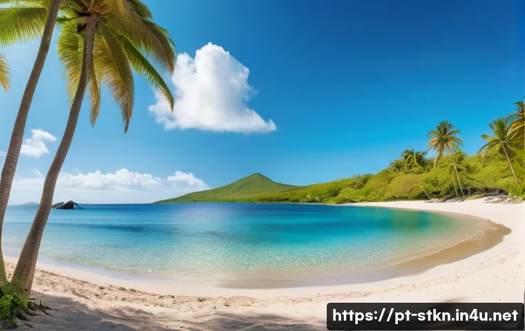 세인트키츠 네비스 크루즈 여행 - A breathtaking panoramic view of Pinney’s Beach on Nevis Island during a sunny day, showcasing fine ...