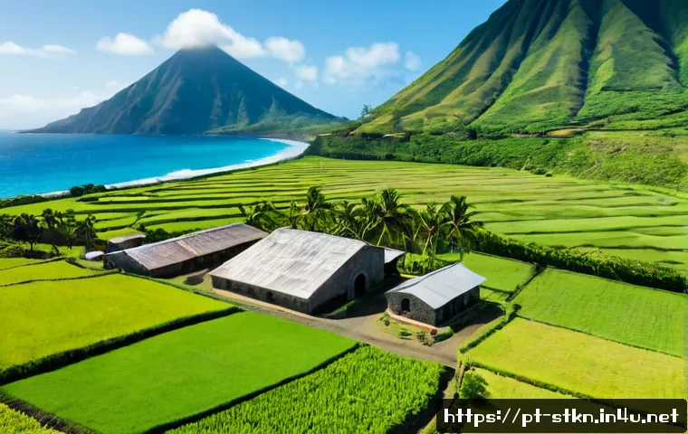 세인트키츠 네비스 럼 생산지 - Photorealistic aerial view of a Caribbean rum production estate on Saint Kitts, lush green sugarcane...